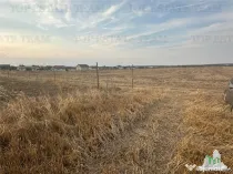 TEREN 2500MP BALACEANCA