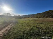 Bocsa Teren Intravilan 2754 Mp. 