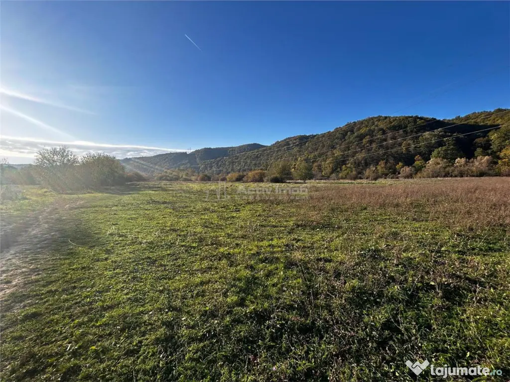 Bocsa Teren Intravilan 2754 Mp.