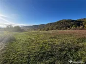 Bocsa Teren Intravilan 2754 Mp. 