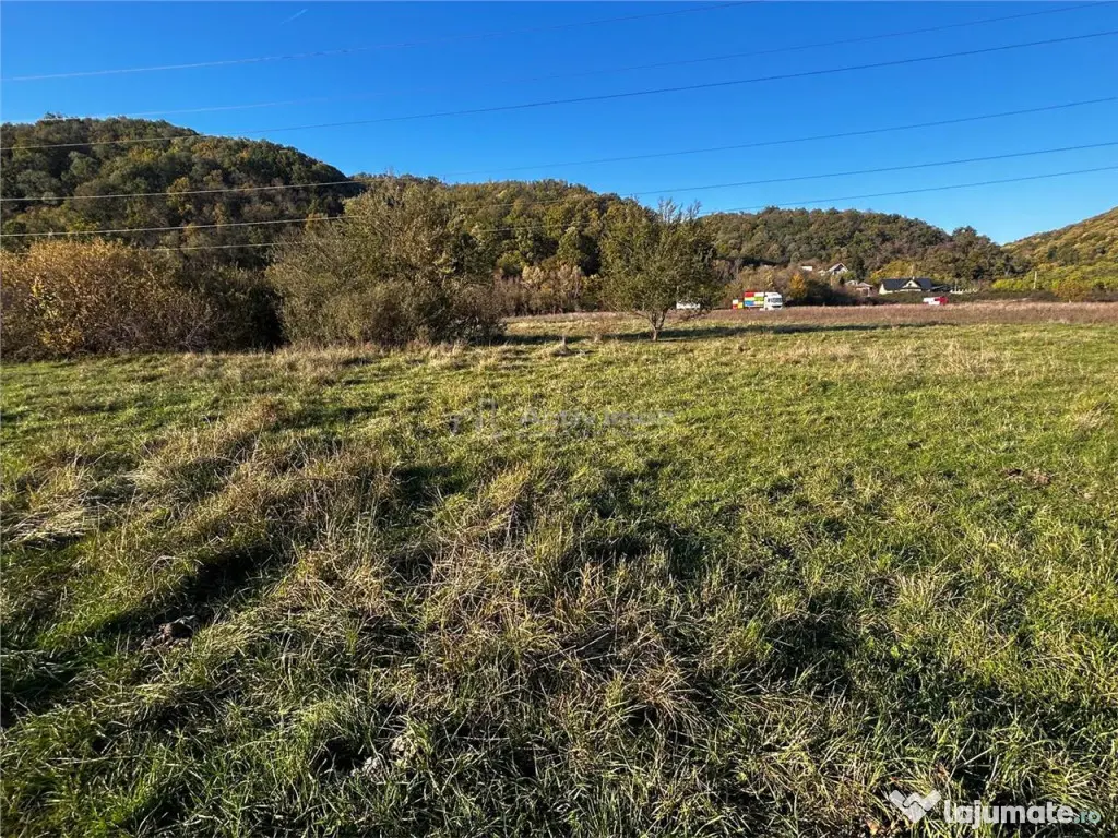 Bocsa Teren Intravilan 2754 Mp.