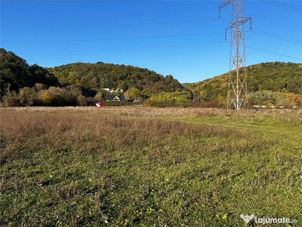 Bocsa Teren Intravilan 2754 Mp.