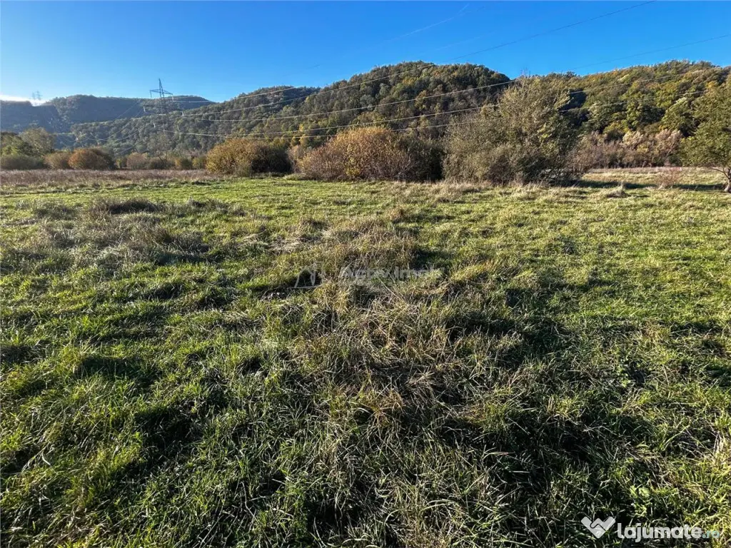 Bocsa Teren Intravilan 2754 Mp.