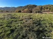 Bocsa Teren Intravilan 2754 Mp. 