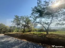 Teren de vanzare in Viisoara