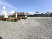 Complex industrial cu teren 18,672 mp Târgu Lăpuș 