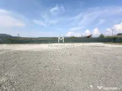 Complex industrial cu teren 18,672 mp Târgu Lăpuș 