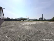 Complex industrial cu teren 18,672 mp Târgu Lăpuș 