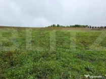 Teren intravilan, 20 ari, toate utilitatile, zona Sigmir