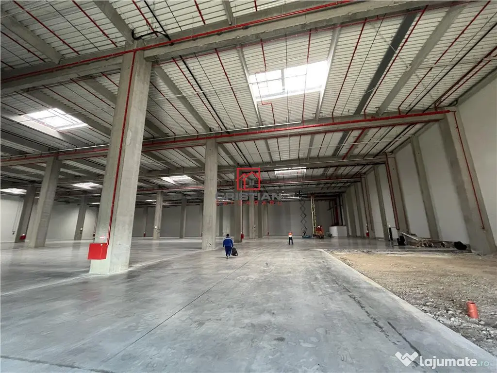 Depozit/hala/spatiu industrial Theodor Pallady - Cernica -