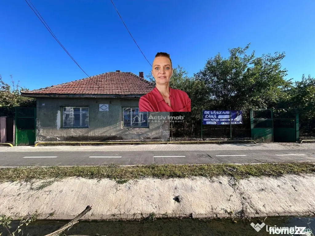 Bocsa Romana, 2 Corpuri de cladire cu Teren si garaj, la Str