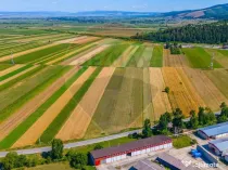 TEREN extravilan- 6 E/MP- CU PLANTATIE DE TRANDAFIRI! Tel...