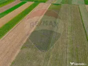 TEREN extravilan- 6 E/MP- CU PLANTATIE DE TRANDAFIRI! Tel... 