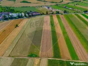 TEREN extravilan- 6 E/MP- CU PLANTATIE DE TRANDAFIRI! Tel... 