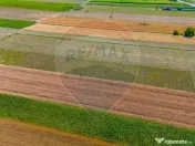 TEREN extravilan- 6 E/MP- CU PLANTATIE DE TRANDAFIRI! Tel... 