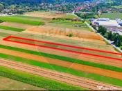 TEREN extravilan- 6 E/MP- CU PLANTATIE DE TRANDAFIRI! Tel... 