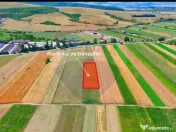 TEREN extravilan- 6 E/MP- CU PLANTATIE DE TRANDAFIRI! Tel... 