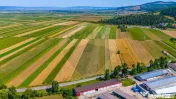 TEREN extravilan- 6 E/MP- CU PLANTATIE DE TRANDAFIRI! Tel... 