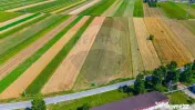 TEREN extravilan- 6 E/MP- CU PLANTATIE DE TRANDAFIRI! Tel... 