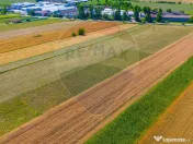 TEREN extravilan- 6 E/MP- CU PLANTATIE DE TRANDAFIRI! Tel... 