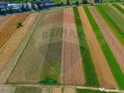 TEREN extravilan- 6 E/MP- CU PLANTATIE DE TRANDAFIRI! Tel... 