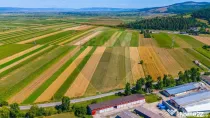 TEREN extravilan- 6 E/MP- CU PLANTATIE DE TRANDAFIRI! Tel...