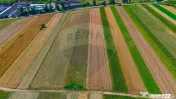TEREN extravilan- 6 E/MP- CU PLANTATIE DE TRANDAFIRI! Tel...