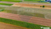 TEREN extravilan- 6 E/MP- CU PLANTATIE DE TRANDAFIRI! Tel...