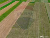 TEREN extravilan- 6 E/MP- CU PLANTATIE DE TRANDAFIRI! Tel... 