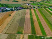 TEREN extravilan- 6 E/MP- CU PLANTATIE DE TRANDAFIRI! Tel... 