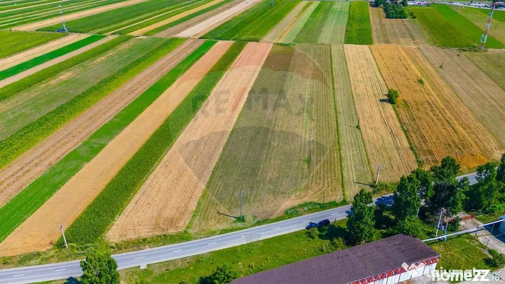 TEREN extravilan- 6 E/MP- CU PLANTATIE DE TRANDAFIRI! Tel...