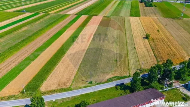 TEREN extravilan- 6 E/MP- CU PLANTATIE DE TRANDAFIRI! Tel...