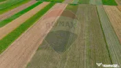 TEREN extravilan- 6 E/MP- CU PLANTATIE DE TRANDAFIRI! Tel...