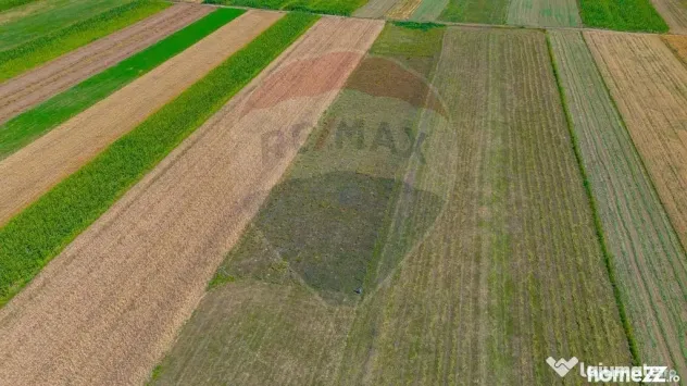 TEREN extravilan- 6 E/MP- CU PLANTATIE DE TRANDAFIRI! Tel...