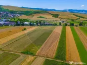 TEREN extravilan- 6 E/MP- CU PLANTATIE DE TRANDAFIRI! Tel... 