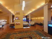 Vanzare Vila P 1 M Ilfov-Dobroesti 