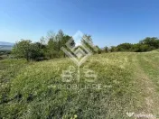 Teren Extravilan - 10'000 Mp - Valea Budacului (Bistrita) 