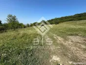 Teren Extravilan - 10'000 Mp - Valea Budacului (Bistrita) 