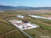 Oportunitate investi#539;ie prelucrare lemn, Cristian,jud.Si 