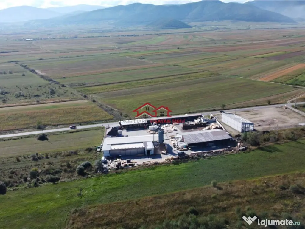 Oportunitate investi#539;ie prelucrare lemn, Cristian,jud.Si