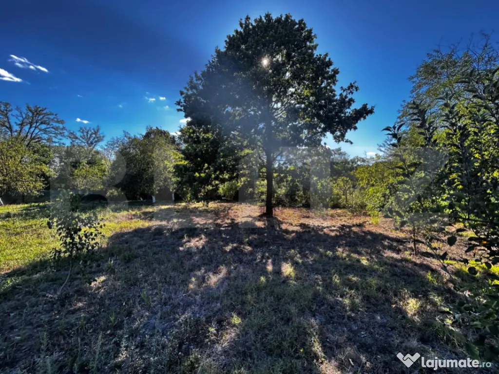 Doua casa de vanzare, teren intravilan 1773 mp, zona Stoloja