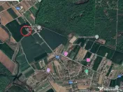 Ciolpani, spre Izvorani - COR, vanzare teren 5000mp. 