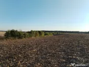 Ciolpani, spre Izvorani - COR, vanzare teren 5000mp. 