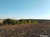 Ciolpani, spre Izvorani - COR, vanzare teren 5000mp. 