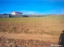 Teren extravilan de 5.000 mp, arabil, in imediata apropiere