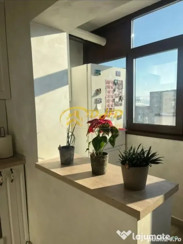 Apartament 1 cameră Păcurari