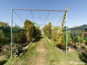 Casa visurilor cu livada roditoare si gradina amenajata 