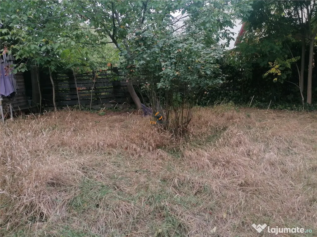 Pensiune Azil Spatiu Comercial Calea Girocului