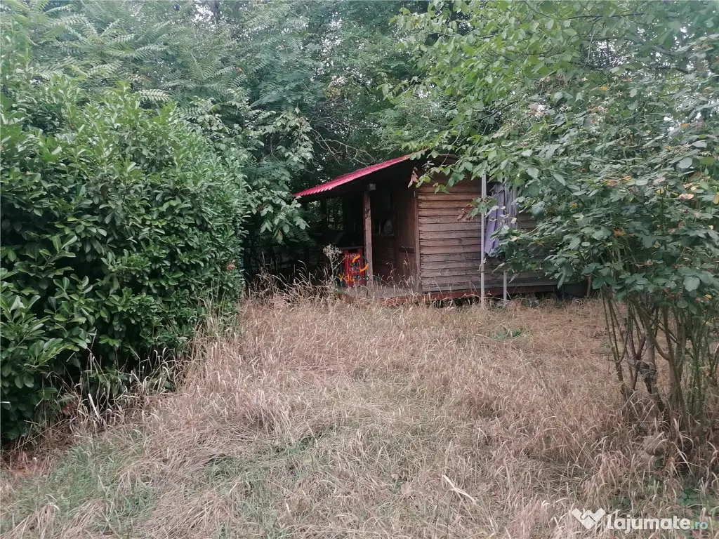 Pensiune Azil Spatiu Comercial Calea Girocului