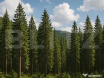 Teren extravilande de vânzare, pădure, 10.000 mp, in Vatra